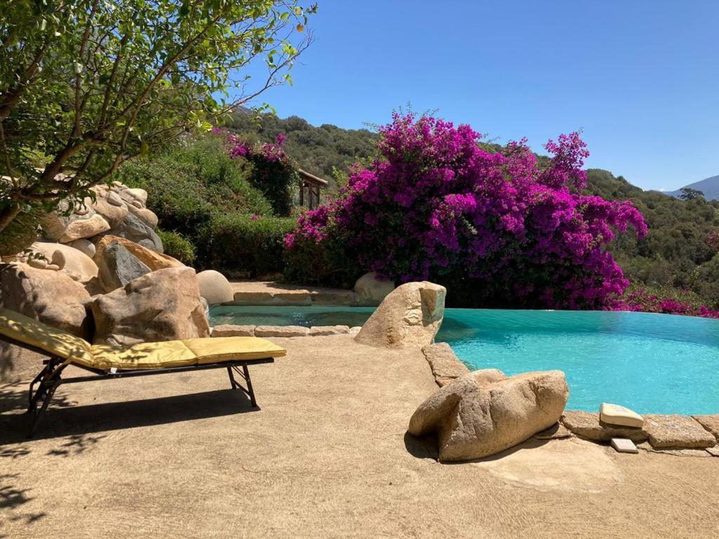 Villas Valinco San Martinu Corse Du Sud - Vue Et Proche Mer - Piscines-7 Chambres Olmeto  Exteriör bild
